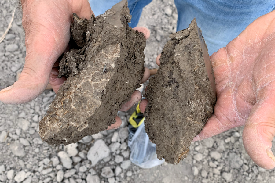 Soil appraisal