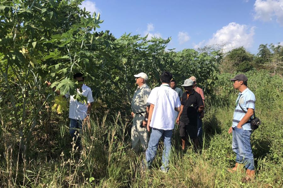 Indonesia - Castor Bean - Field Technical Due Diligence